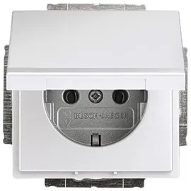 Busch-Jaeger Klappdeckelsteckdose 1f Unterputz Silber