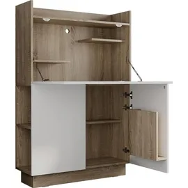 Vicco Schreibtischschrank Büroschrank Aktenschrank Computertisch Sekretär