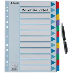 Esselte Ordnerregister Vollformat blanko DIN A4