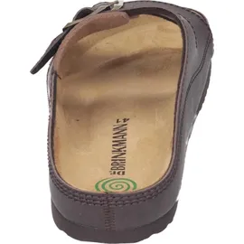 Dr. Brinkmann Bonillo Braun 42