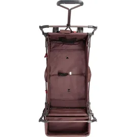 FUXTEC Fuxlife Einsteiger Bollerwagen FX-CT350 Braun