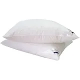 billerbeck Gänsefederkopfkissen Ginnie 15 80 x 80 cm Weiß