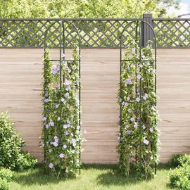 vidaXL Garten-Ranktürme 2 Stk.