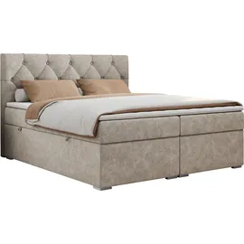 MKS Meble Boxspringbett 200 x 200 cm H4 Beige