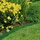 Gardena Raseneinfassung 9 m x 15 cm grün
