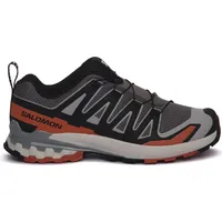 Salomon XA Pro 3D V9 Herren Castlerock/Black/Burnt Ochre 44