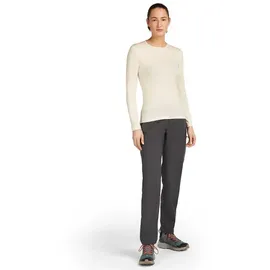 Icebreaker Merino Elevation Stretch Hosen Grau 30
