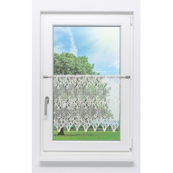 Plauener Spitze Scheibengardine Arabeske (Bx H) 174.30cm * 50cm Weiß/naturweiß
