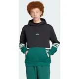 adidas ARCHIVE CUTLINE Hoodie Schwarz/Collegiate Green S
