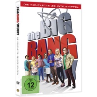 Warner The Big Bang Theory Season 10 (DVD)
