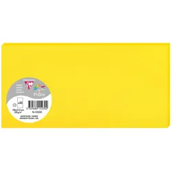 Pollen 250x Karte DL Pollen 210g - Sonne 1523C
