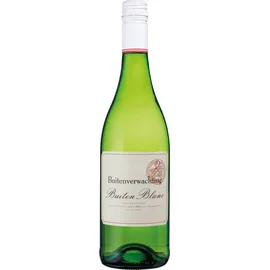 Buitenverwachting Buiten Blanc 12 x 0,75 l