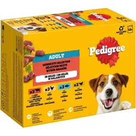 PEDIGREE Adult Frischebeutel Multipack Gemischte Selektion in Gelee 12 x 100 g