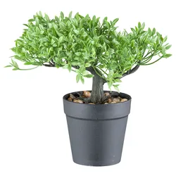 Kunstbonsai CREATIV GREEN "Bonsai Buchsbaum und Teeblatt", grün, H:20cm, Kunststoff, Kunstpflanzen, mit 2 Ausführungen im Set