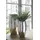 Fink Africa 28 cm silberfarben