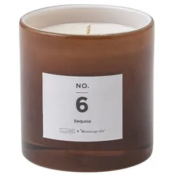Illume Duftkerze Illume, NO. 6 - Sequoia