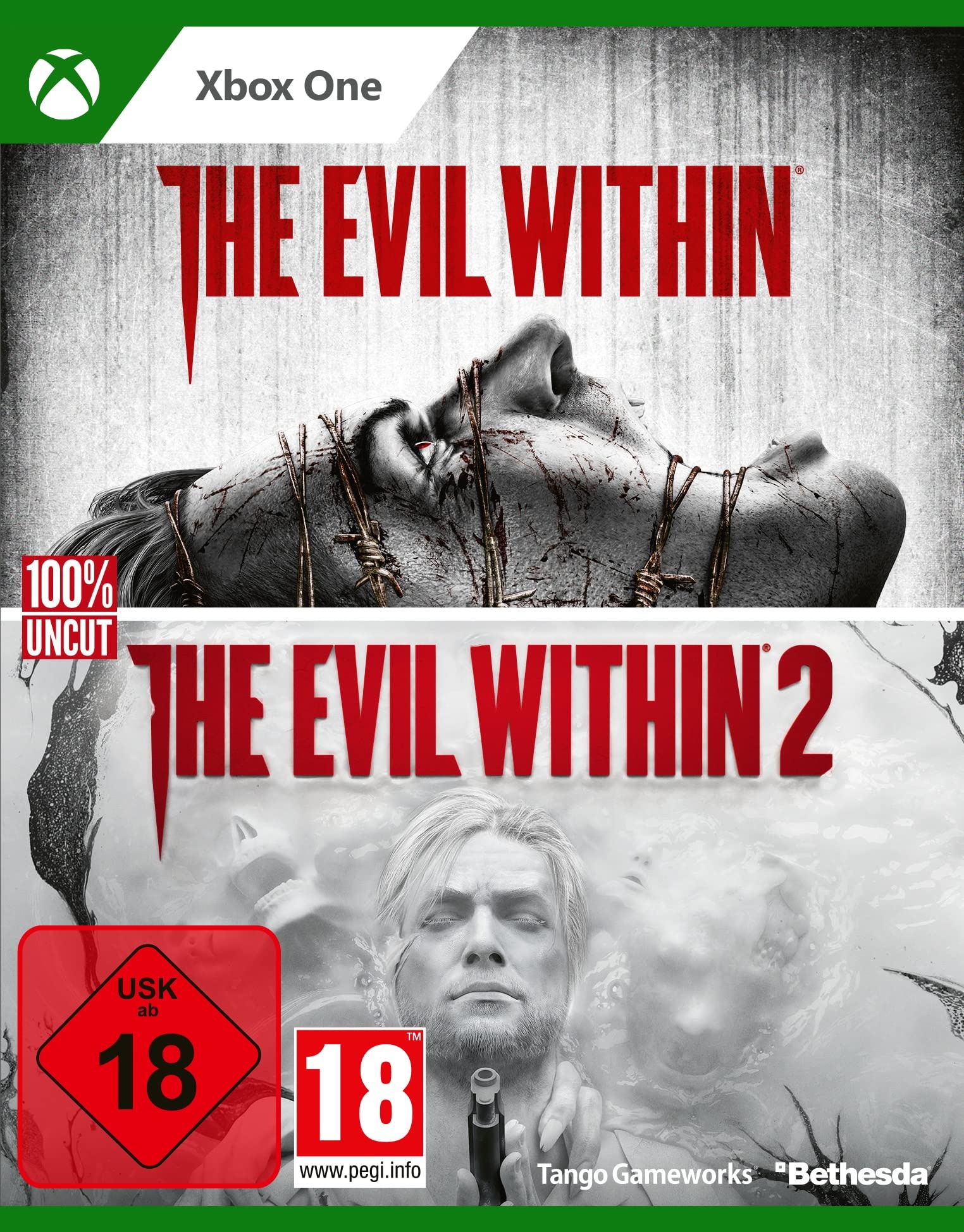 the evil within