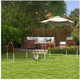 PawHut Hunde Agility Set, 4er-Set Hundetraining mit Slalomstangen, Tragetasche