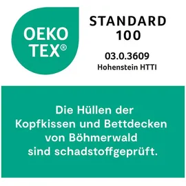 BÖHMERWALD Ganzjahresbettdecke, ''MEDIUM'' in Naturweiß | Gr.: 135 x 200 cm,