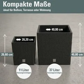 Prosperplast Rato Low 40 x 40 x 40,8 cm anthrazit