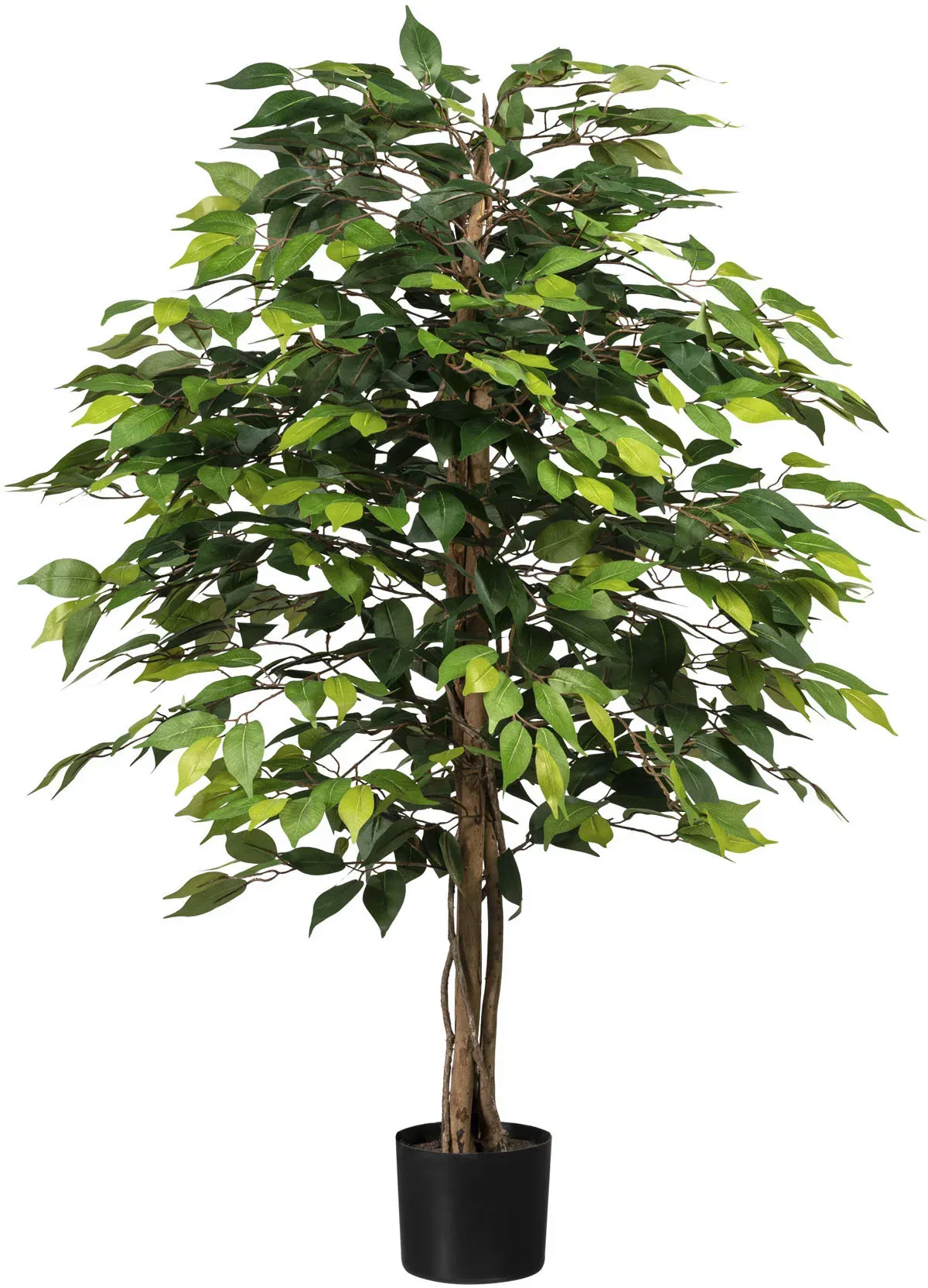 Kunstpflanze CREATIV GREEN "Ficus Benjamini" Kunstpflanzen Gr. H: 120cm,, grün