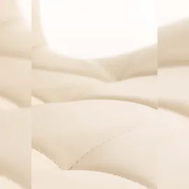 CLP 4er Set Esszimmerstuhl Elda Kunstleder