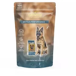DIVINUS Performance für aktive Hunde 100 g