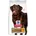 Hill's Science Plan Healthy Mobility Large 14 kg