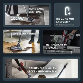 Rowenta X-Pert 6.60 Animal RH6878WO