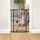 Dreambaby Dreambaby, Schutzgitter, Ava Slimline (61 - 68 cm)