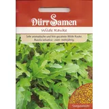 Dürr-Samen - Wilde Rauke Saatgut