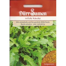 Dürr-Samen - Wilde Rauke Saatgut