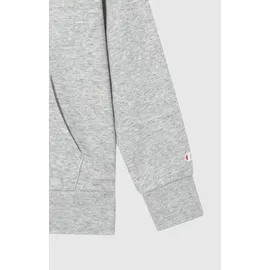 Champion Hoodie Grey 164