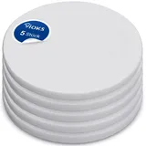 Vioks 5х Staubsauger Filter rund 160mmØ - Vlies Filter für Staubsauger Dyson DC08 DC19 DC20 DC29 / Dyson Staubsauger Zubehör & Dyson Ersatzteile