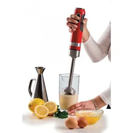 Ariete Moderna 602 Stabmixer
