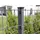 Floraworld Doppelstab-Mattenzaun Comfort 201 x 143 cm anthrazit