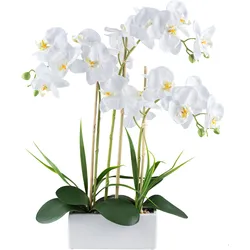 Kunstorchidee CREATIV GREEN "Orchidee Phalaenopsis", weiß, H:58cm, Kunststoff, Kunstpflanzen, mit Graszweigen arrangiert