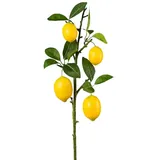Gasper Künstlicher Zitronenzweig mit Blättern und Zitronen, Farbe: Grün/Gelb, Höhe: 68: cm, 1019023-30