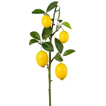 Gasper Künstlicher Zitronenzweig mit Blättern und Zitronen, Farbe: Grün/Gelb, Höhe: 68: cm, 1019023-30