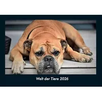 Vero Kalender Welt der Tiere 2026 Fotokalender DIN A4