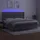 vidaXL Boxspringbett mit Matratze & LED Hellgrau 200x200 cm Samt
