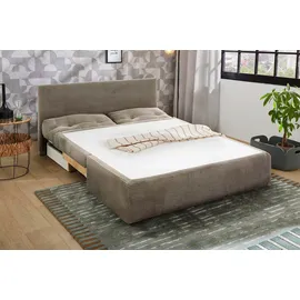 Jockenhöfer Schlafcouch Polyester 2-Sitzer Grau