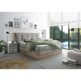 Livetastic Novel Boxspringbett 160 x 200 cm H2 Hellgrau