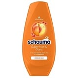 Schauma Haarshampoo