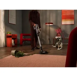 AEG 6000 Akku-Staubsauger AP61AB21DG