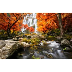 Fototapete PAPERMOON "WASSERFALL-HERBST WALD BÄUME STEINE FLUSS LANDSCHAFT", bunt, B:3,50m L:2,60m, Vlies, Tapeten