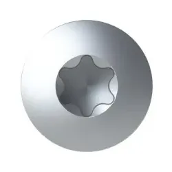 Striebel & John VXXFWNJB VMS Schraube M5X16-C TORX Befestigung VMS-Unterteil aut Z-Profil 4TBV855520C0100 - 50 Stück