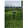 Bradas Insektenvernichter UV Solar Lampe LED Bradas CTRL-IN101S