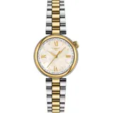 TISSOT Desir Quarz Bicolor 28 mm T152.010.22.118.01