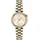 TISSOT Desir Quarz Bicolor 28 mm T152.010.22.118.01